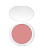 iShopping - Color Studio Pro Blush Powder Rage (214)