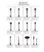 iShopping - Muicin Complete Vegan Eye Brushes 12 Pieces