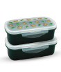 iShopping - Appollo Bento Lunch Box M-1 (Pack Of 2)