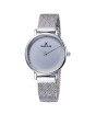 iShopping - Daniel Klein Fiord Women's Watch Silver (DK11988-1)