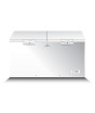 iShopping - Dawlance Signature Inverter Double Door Deep Freezer 14 Cu Ft White (91997-H)