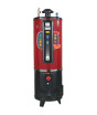 iShopping - Ditron 25 Gallon Gas Heater