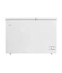 iShopping - Haier Inverter Double Door Chest Freezer 11 Cu Ft White (HDF-320)