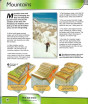 iShopping - The Quality Store Miles Kelly Publishing of Knowledge Book