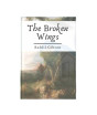 iShopping - The Broken Wings Book