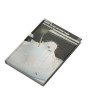 iShopping - Diary Of An Oxygen Thief Book