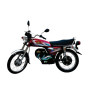 iShopping - Ride Star RSEV-125 2500w Electric - 2023 Model