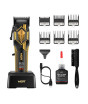 iShopping - VGR 8000 RPM BLDC Motor Premium Hair Clippers Black - (V-119)