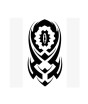 iShopping - Ferozi Traders Sun Warrior Flash Temporary Tattoo