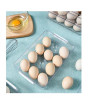 iShopping - G-Mart 12 Grids Egg Storage Box Tray