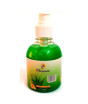 iShopping - G&M Clarence Hand Wash 250ml