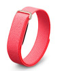 iShopping - Google Fitbit Air Fitness Band