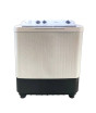 iShopping - Haier Twin Tub Top Load Semi Automatic Washing Machine 10KG (HTW-100-196E)