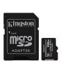 iShopping - Kingston Canvas Select Plus 256GB Micro SD Card (SDCS2/256GB)