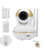 iShopping - Link Corporation Home & Office Wireless Video Security Camera Alarm Kit
