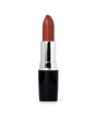 iShopping - Swiss Miss Lipstick Terracotta (MATTE-208)