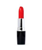 iShopping - Swiss Miss Lipstick Gypsy Rose (MATTE-222)