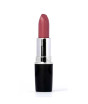 iShopping - Swiss Miss Lipstick Flamingo Pink (MATTE-228)