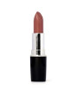 iShopping - Swiss Miss Lipstick Flint (MATTE-242)