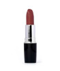 iShopping - Swiss Miss Lipstick Twig (MATTE-244)
