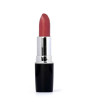 iShopping - Swiss Miss Lipstick Rose Wood (MATTE-245)