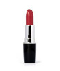 iShopping - Swiss Miss Lipstick Slate Rose (MATTE-259)