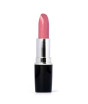 iShopping - Swiss Miss Lipstick Pretty Pink (MATTE-263)