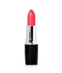 iShopping - Swiss Miss Lipstick (MATTE-520)