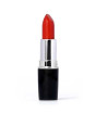 iShopping - Swiss Miss Lipstick (MATTE-522)