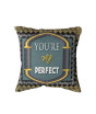 iShopping - Mehrab-e-Makkah Printed Cushion Cover