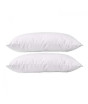 iShopping - Muzamil Store Cotton Pillows White Pack of 2