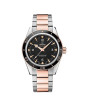 iShopping - Omega Seamaster Men's Watch Two-Tone (233.20.41.21.01.001)