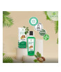 iShopping - Original Emira Keratin & Olive Hair Treatment