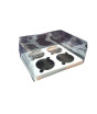 iShopping - Packzypk Transparent Box For 4 Cupcake 6x5x3 (Pack Of 20)