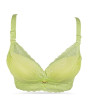 iShopping - Purple Bag Fancy Lace Double Padded Wireless Soft Pushup Bra Green (0015)