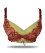 iShopping - Purple Bag Lace Net Double Padded Wired Less Bra Red (OFW0041)