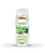 iShopping - Saeed Ghani Tea Tree & Aloe Vera Shampoo 200Ml