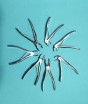 iShopping - Dental Plier (Set of 7 pcs) Surgical Items, Ent ,Medical Items
