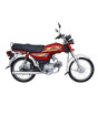 iShopping - United US 70 - Model 2026