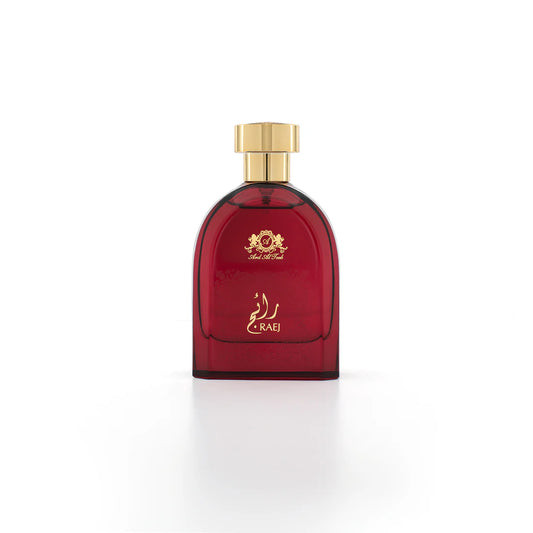 iShopping - Ardalteeb Raej Eau de Parfum 100ml For Him