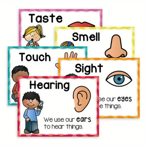 Artisticvalley Bundle Five Senses Flashcards - 5pcs