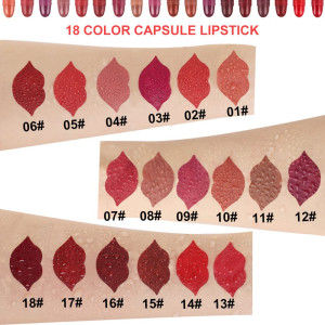 18 Pcs Capsule Lipstick Set