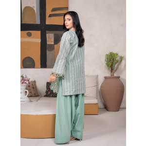 Ahlam Faded Sage Embroidered Lush Banarsi 2 Piece Suit
