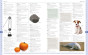 iShopping - The Quality Store Merriam-Webster Children’s Dictionary Book