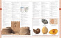 iShopping - The Quality Store Merriam-Webster Children’s Dictionary Book