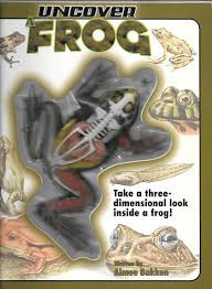 iShopping - Uncover a Frog Book