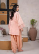 iShopping - Ahlam Peach Glow Embroidered Jacquard Banarsi 2 Piece Suit