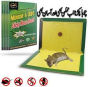 iShopping - Genshirt Every Mouse and Rat Trap Glue Book