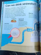 iShopping - DK Why? Earth Hardcover Book