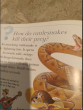iShopping - I Wonder Why Big Of Knowledge Book